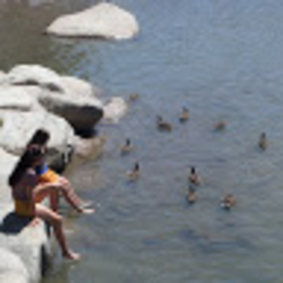 Meet your Posher, odi - Picture 1 of 1